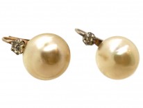 French Silver & Paste Earrings