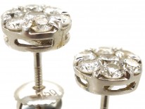 18ct White Gold Diamond Cluster Earrings