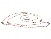 Art Nouveau Plique-à-Jour & Silver Long Guard Chain
