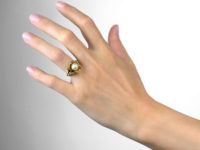 Pearl in The Oyster Shell 18ct Gold Ring