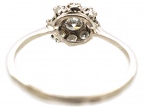 18ct White Gold & Diamond Cluster Ring
