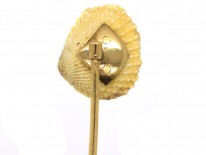 Edwardian Pearl Shell With Two Natural Pearls Tie Pin