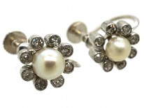 Edwardian 18ct White Gold, Natural Pearl & Diamond Daisy Earrings