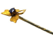 Edwardian 9ct Gold & Sapphire Doublet Tie Pin