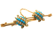 Edwardian 15ct Gold Pair of Tortoise's Brooches in Original Case