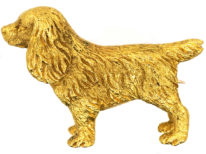 Edwardian 15ct Gold King Charles Spaniel Brooch