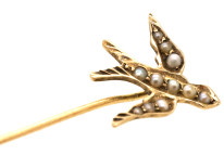Edwardian 9ct Gold Swallow Tie Pin Set With Natural Split Pearls