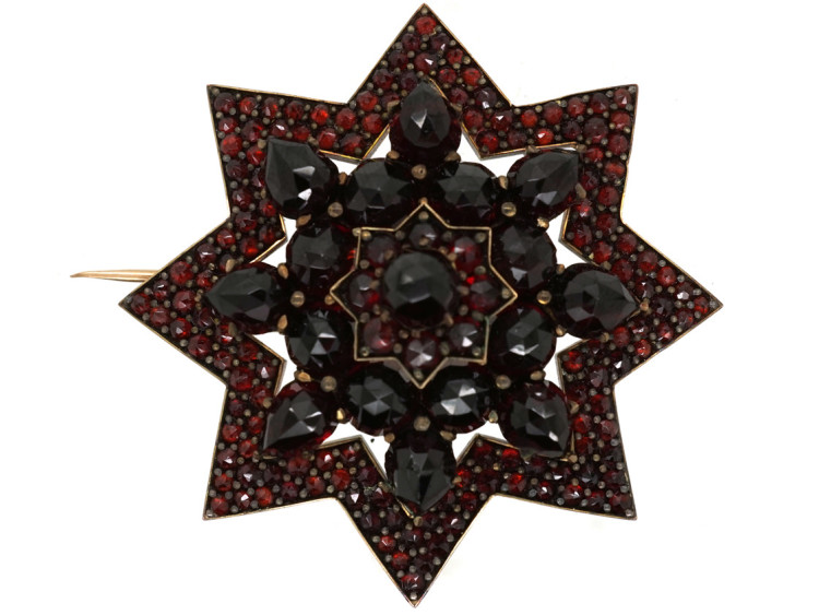 Bohemian Garnet Star Brooch