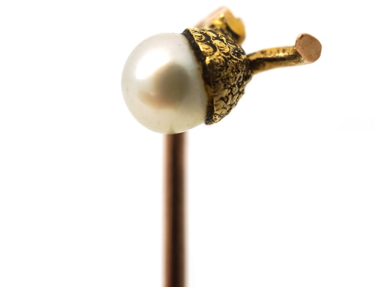 Edwardian 15ct Gold & Natural Pearl Acorn Tie Pin