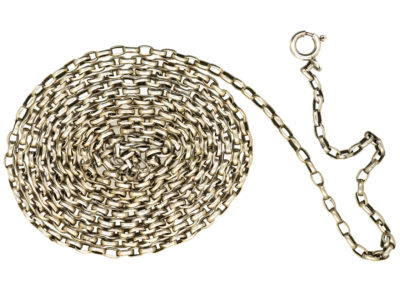 Victorian Long Silver Guard Chain