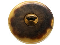 Four Horn & Brass Buttons of Horse's Heads