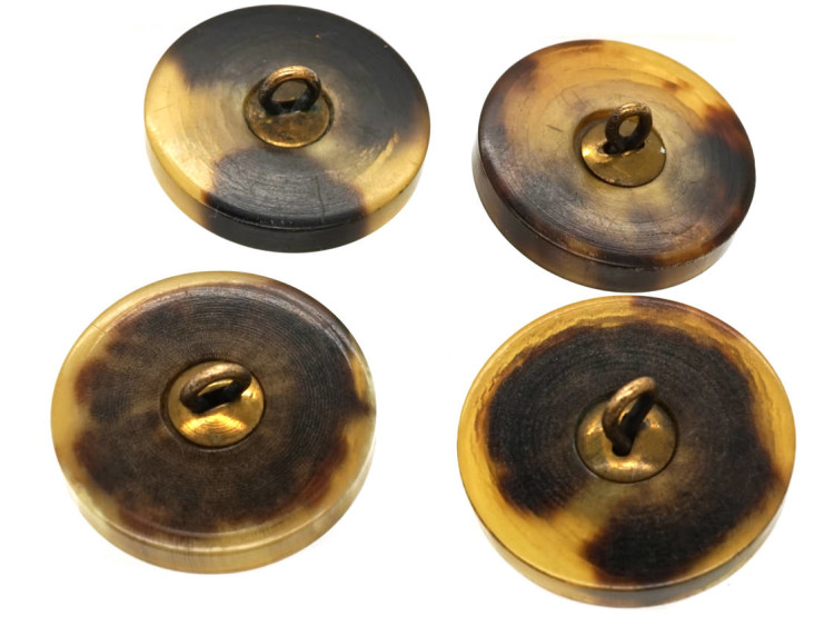 Four Horn & Brass Buttons of Horse's Heads