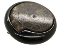 Victorian Jet &Fossil Ammonite Brooch