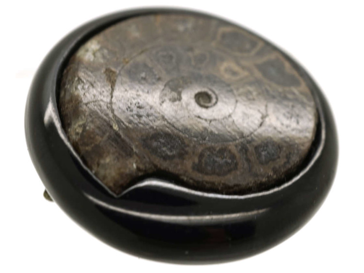 Victorian Jet &Fossil Ammonite Brooch