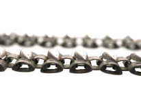 Early 20th Century Silver Chain