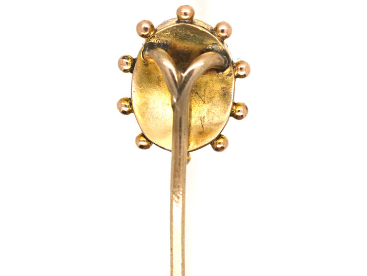 Victorian 15ct Gold Tie Pin With Shell Cameo of Classical Head