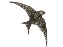 Silver & Marcasite Swallow Brooch