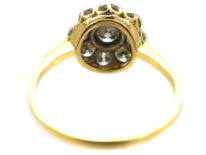 18ct Gold & Platinum, Diamond Daisy Cluster Ring
