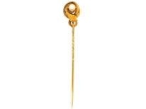 Victorian 18ct Gold Snake Tie Pin With Natural Pearl