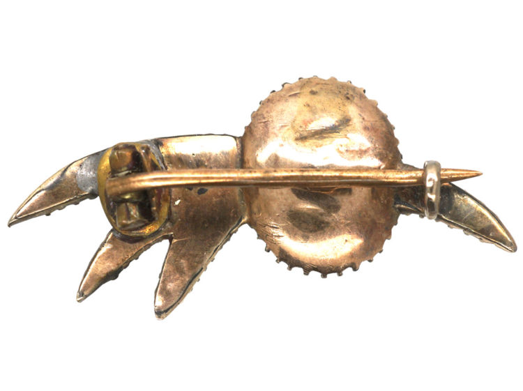 Georgian Halley's Comet Brooch