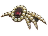 Georgian Halley's Comet Brooch