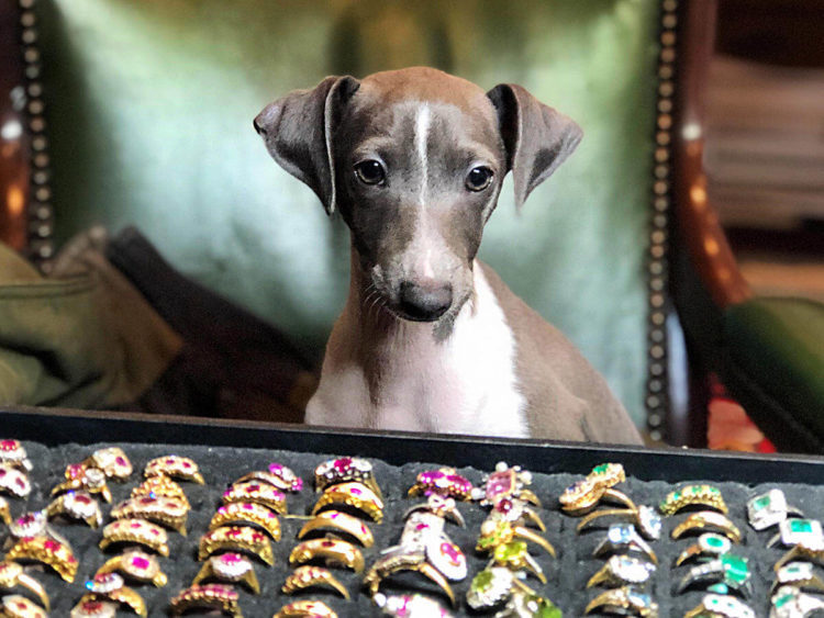 20 Questions To Ask Your Antique Jewellery Dealer Before You Buy