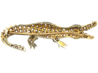 Rose Diamond & Ruby Alligator Brooch