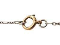 Edwardian Platinum Chain with 15ct Gold Clasp