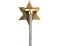 Edwardian 9ct Gold Star Masonic Tie Pin