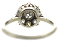 18ct White Gold & Platinum, Diamond Daisy Cluster Ring