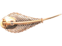 Edwardian Three Colour Gold Peacock Feather Brooch set with a Sapphire