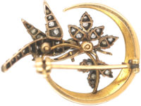 Edwardian Crescent & Dove Brooch set with Natural Split Pearls & Diamonds