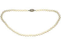 Cultured Pearl Necklace with 9ct Gold & Pearl Clasp