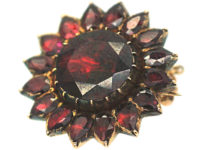 Georgian Gold & Flat Cut Garnet Brooch