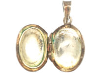 Small Silver Oval Locket