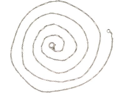 Edwardian Long Platinum Chain