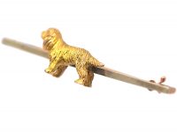 Edwardian 9ct Gold Spaniel Brooch