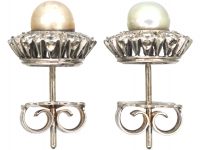 Large 18ct White Gold, Diamond & Pearl Cluster Earrings