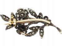 Regency Small Diamond Flower Spray Brooch set with Diamonds