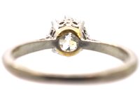 18ct White Gold & Platinum, Diamond Solitaire Ring