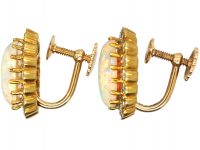 14ct Gold, Large Opal and Diamond Oval Cluster Earrings