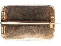 Georgian Eye Brooch