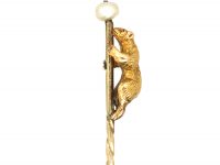 Edwardian 15ct Gold Bear Tie Pin with Natural Pearl