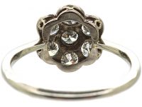 Early 20th Century 18ct White Gold & Platinum Diamond Cluster Ring