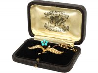 Edwardian 15ct Gold, Forget me Not Brooch in Original Case
