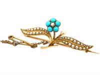 Edwardian 15ct Gold, Forget me Not Brooch in Original Case