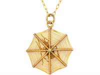 Edwardian 9ct Gold Pendant of a Spider in it's Web on a 9ct Gold Chain