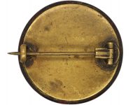 Victorian Hard Stone Brooch
