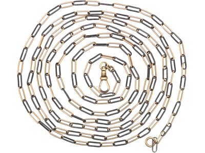Edwardian Niello Long Chain