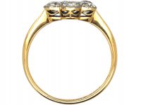 Early 20th Century 18ct Gold & Platinum, Diamond Cluster Ring